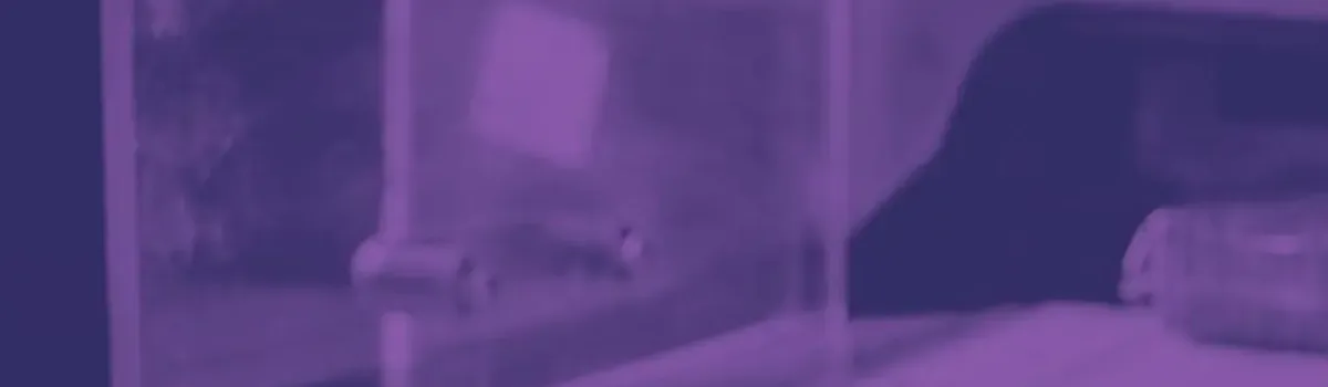 Automation Solutions for Summer Surge: How Food & Beverage Companies Can Keep Up