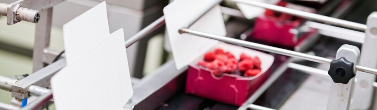 How to Choose a Labeling Machine for Food Packaging