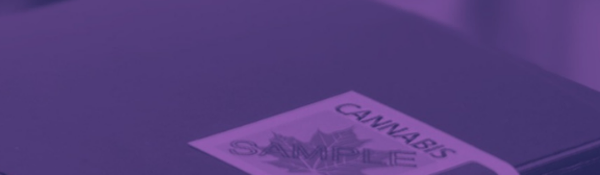 What you Need to Know about Tax Stamp Application